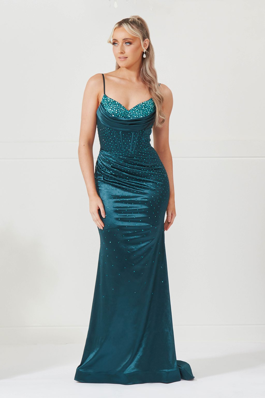 Long Figure Hugging Embellished Dress. AF6692 - Image 5