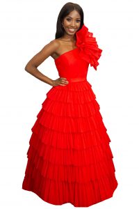 A Line Ruffled Tulle Dress with One Shoulder. TNL286