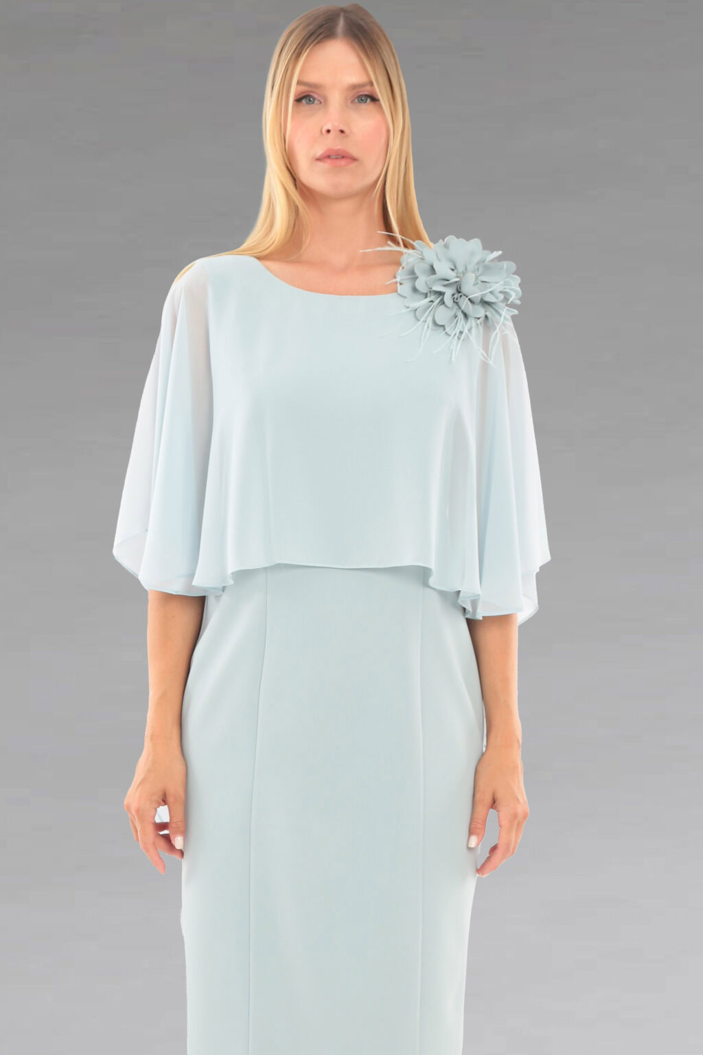 Short Fitted Dress With Overlay. 2036